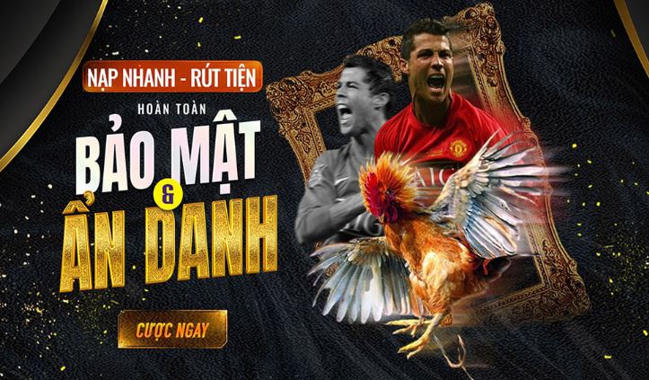 Game thể thao dành cho người mới - 789Win